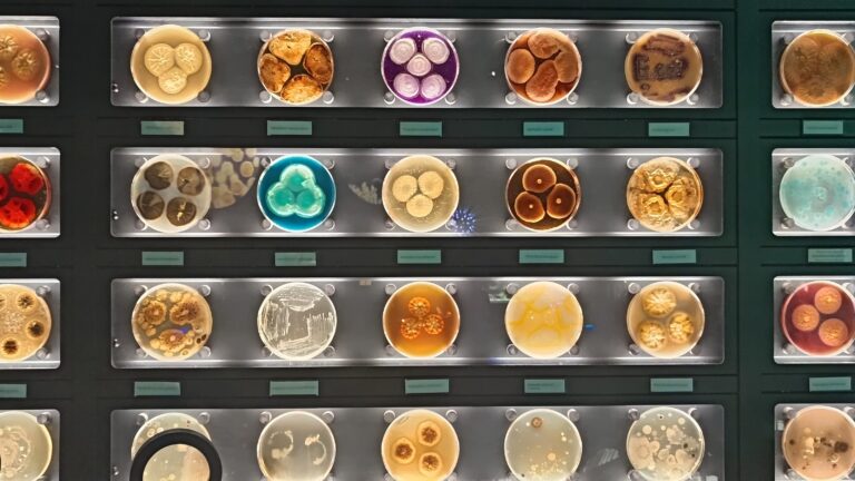 Micropia | Amsterdam